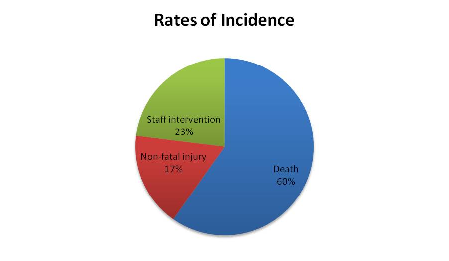 piechart